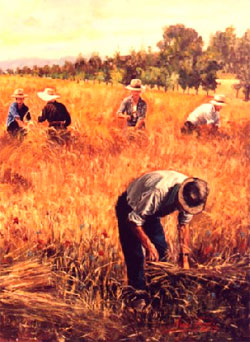 È tempo di raccogliere