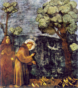 La predica agli uccelli