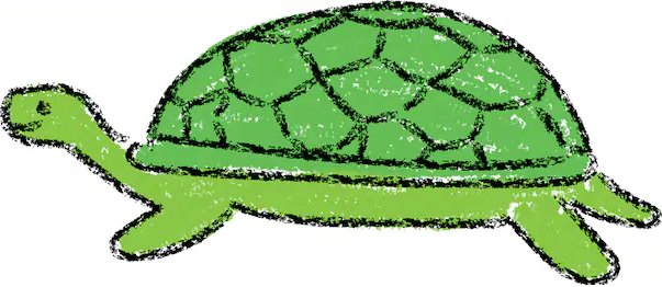 La tartaruga sciocca